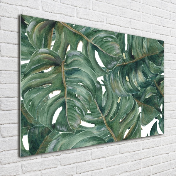 Schilderij op glas Monstera
