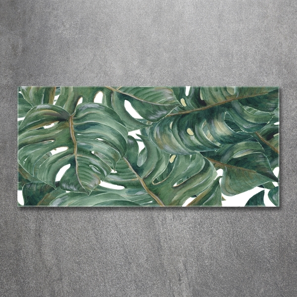 Schilderij op glas Monstera