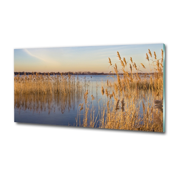 Schilderij op glas Waterriet