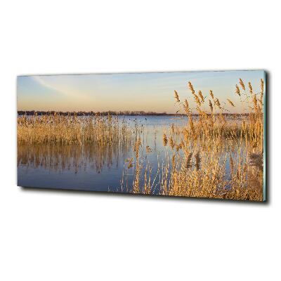 Schilderij op glas Waterriet