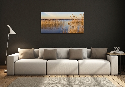 Schilderij op glas Waterriet