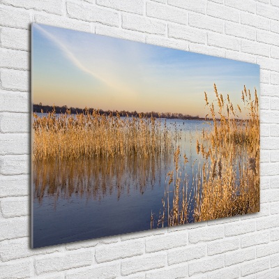Schilderij op glas Waterriet