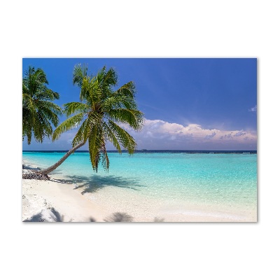 Schilderij glas Panorama van het strand