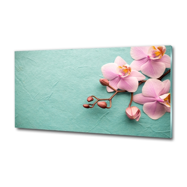 Schilderij glas Orchidee