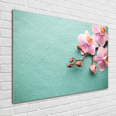 Schilderij glas Orchidee