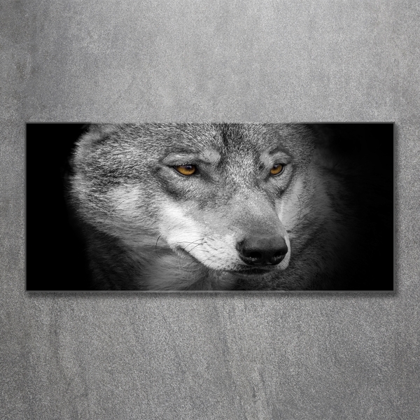 Schilderij op glas Wolf