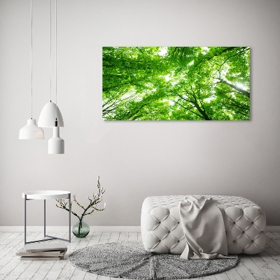 Schilderij op glas Groen bos