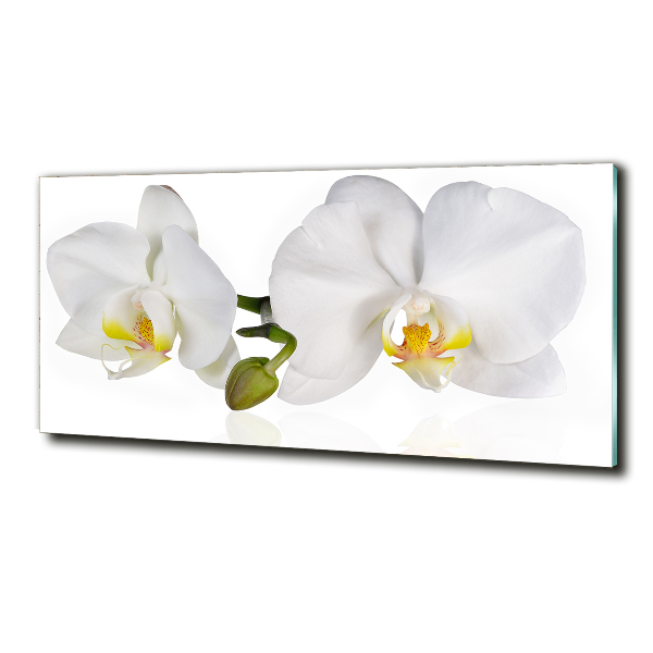 Schilderij glas Orchidee