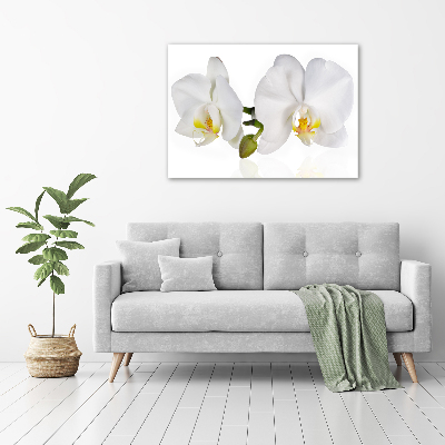 Schilderij glas Orchidee