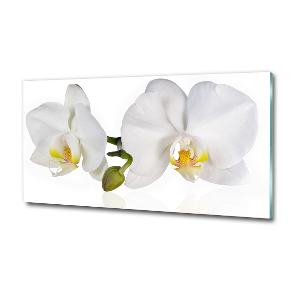 Schilderij glas Orchidee