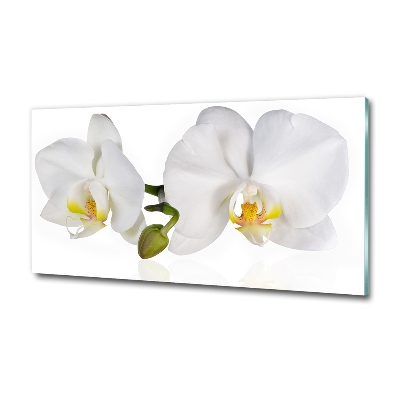 Schilderij glas Orchidee