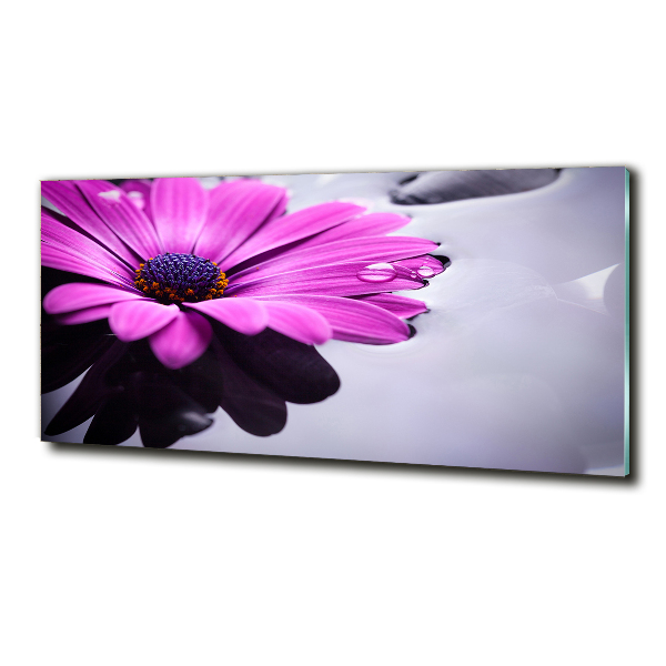 Schilderij glas Gerbera