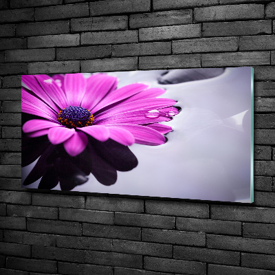 Schilderij glas Gerbera