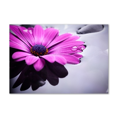 Schilderij glas Gerbera