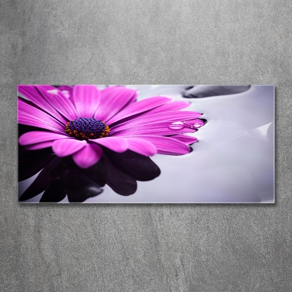 Schilderij glas Gerbera