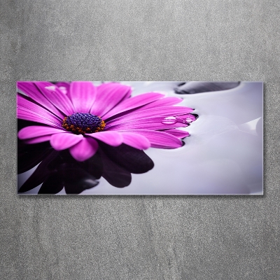 Schilderij glas Gerbera