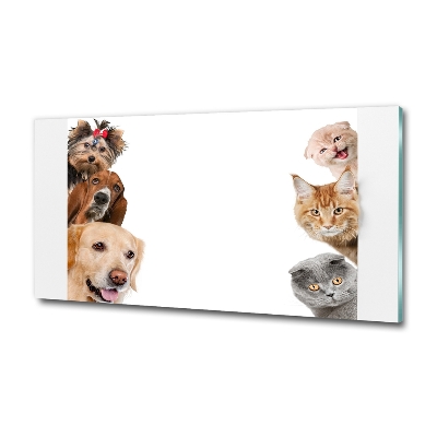 Schilderij glas Honden en katten
