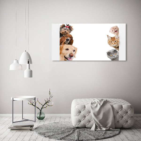 Schilderij glas Honden en katten