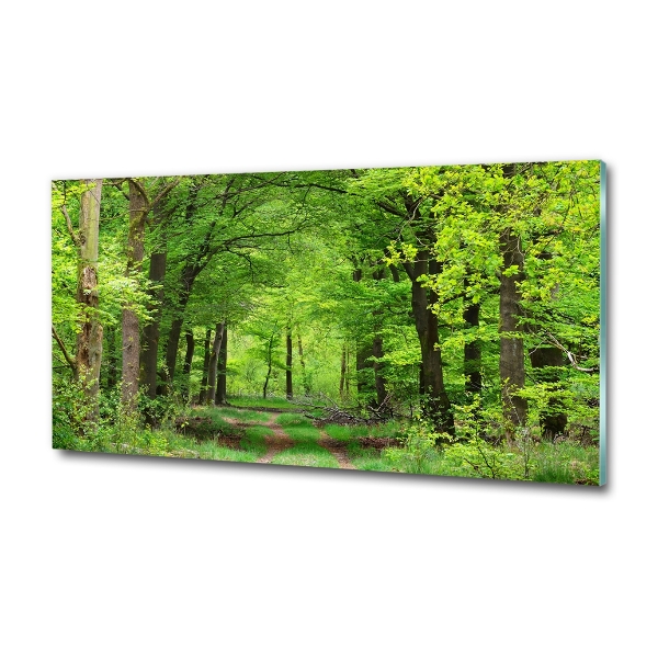 Schilderij glas Lentebos