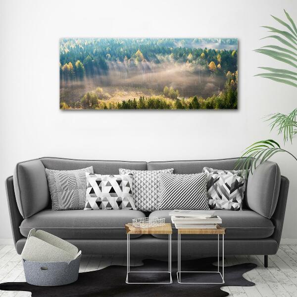 Schilderij op glas Mist in het bos