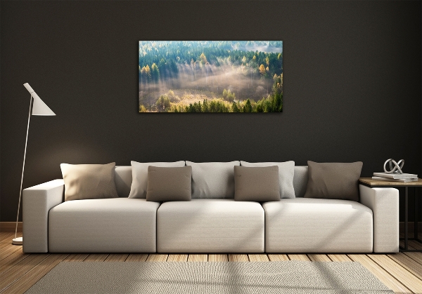 Schilderij op glas Mist in het bos