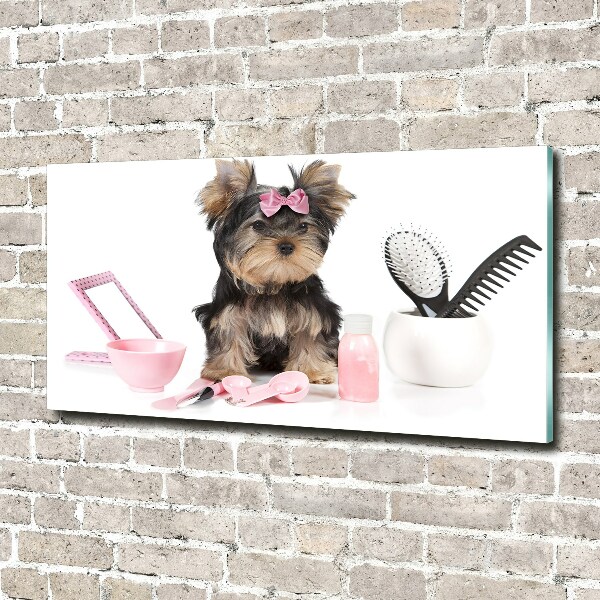 Foto schilderij op glas Yorkshire cosmetica