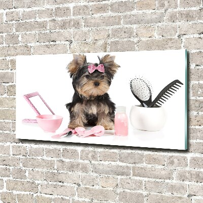 Foto schilderij op glas Yorkshire cosmetica