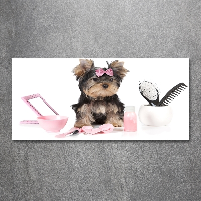 Foto schilderij op glas Yorkshire cosmetica