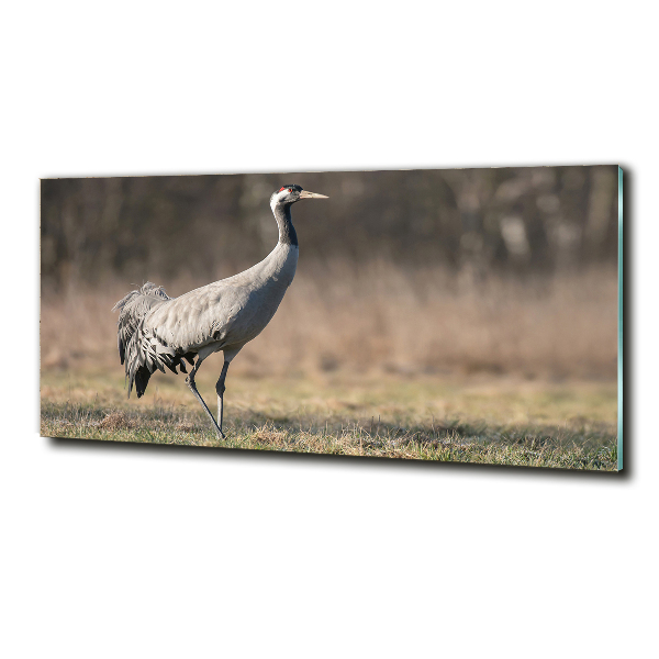 Schilderij op glas Reiger