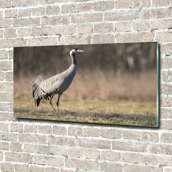 Schilderij op glas Reiger