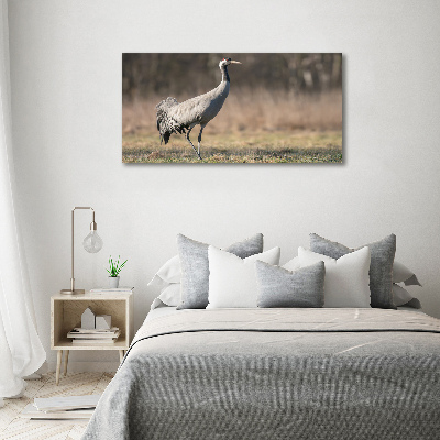 Schilderij op glas Reiger