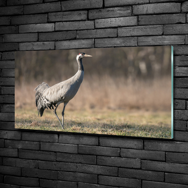 Schilderij op glas Reiger