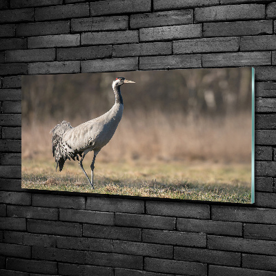 Schilderij op glas Reiger