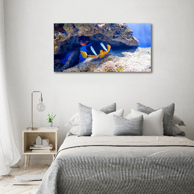 Schilderij glas Tropische vissen