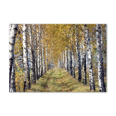 Glazen schilderij Berken in de herfst