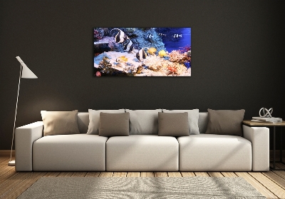 Glazen schilderij Koraalrif