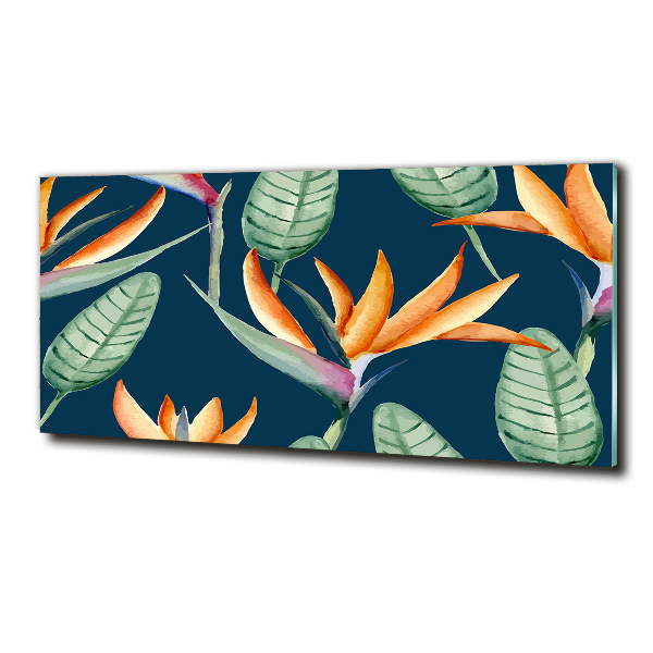 Schilderij op glas Strelitzia reginae