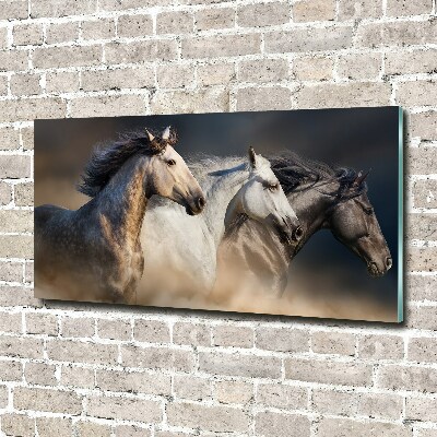 Foto schilderij op glas Paarden in galop