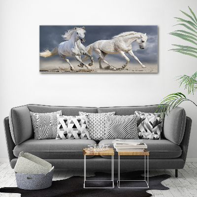 Schilderij op glas Witte paardenstrand