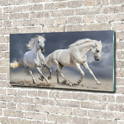 Schilderij op glas Witte paardenstrand