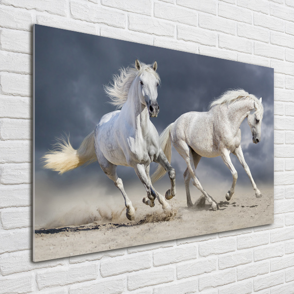 Schilderij op glas Witte paardenstrand