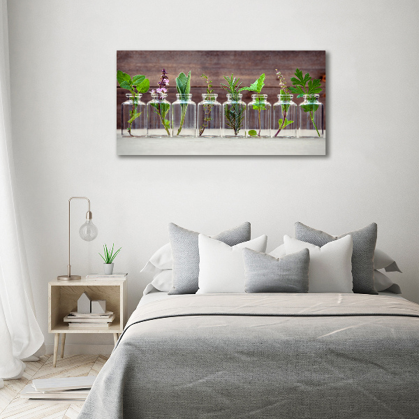 Glazen schilderij Planten in potten