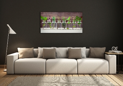 Glazen schilderij Planten in potten