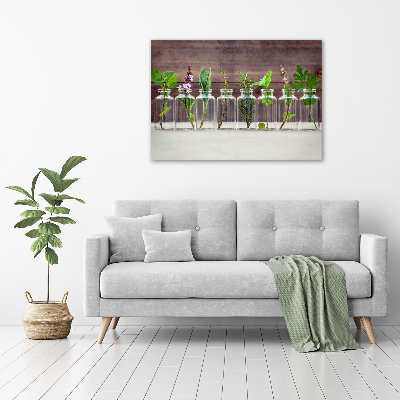 Glazen schilderij Planten in potten