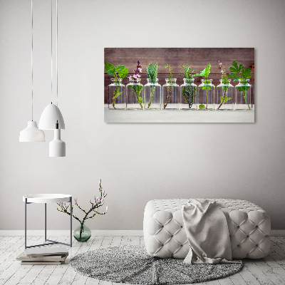 Glazen schilderij Planten in potten