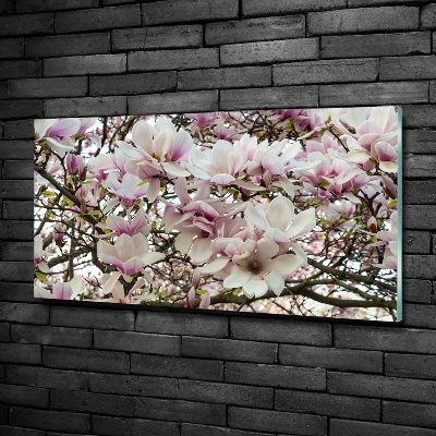 Foto schilderij op glas Magnolia bloemen