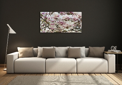 Foto schilderij op glas Magnolia bloemen