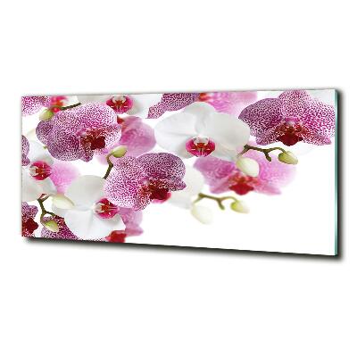 Schilderij glas Orchidee
