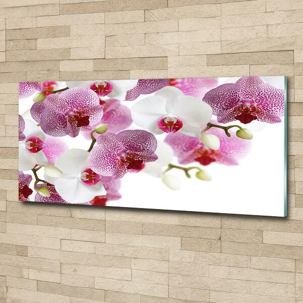 Schilderij glas Orchidee