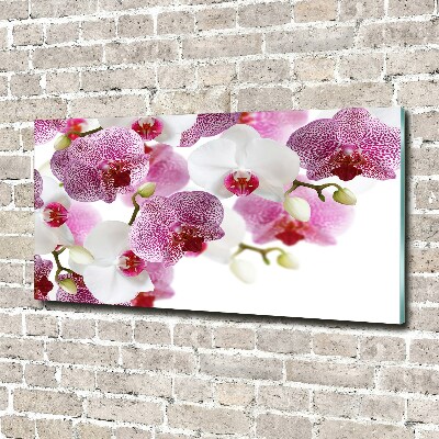 Schilderij glas Orchidee